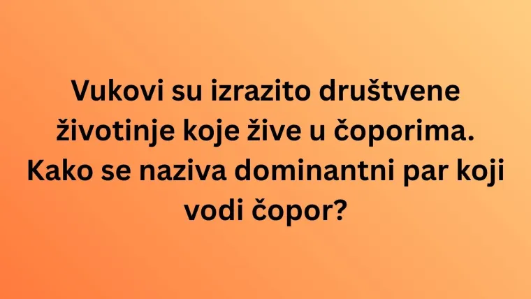 Koliko zna&scaron; o najpoznatijim životinjama svijeta? Poku&scaron;aj rasturiti na laganom kvizu