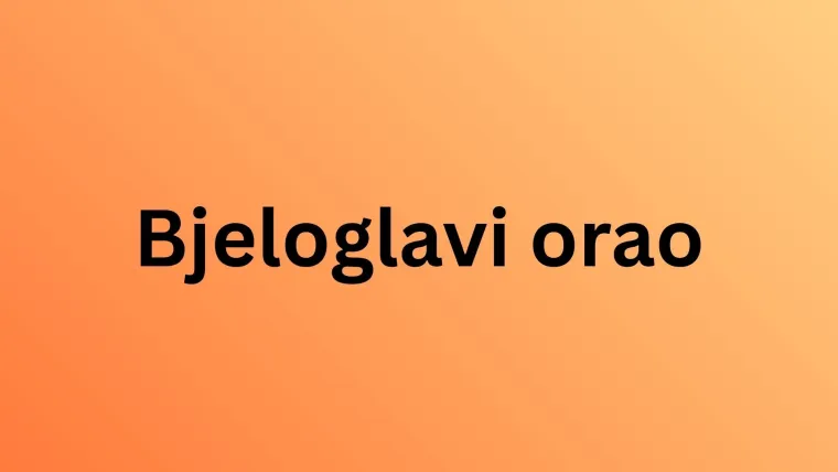 Koliko zna&scaron; o najpoznatijim životinjama svijeta? Poku&scaron;aj rasturiti na laganom kvizu