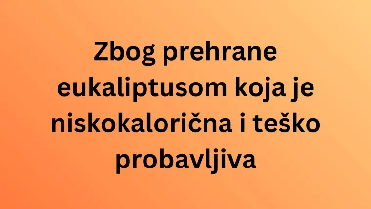 Koliko zna&scaron; o najpoznatijim životinjama svijeta? Poku&scaron;aj rasturiti na laganom kvizu