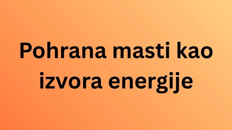 Koliko zna&scaron; o najpoznatijim životinjama svijeta? Poku&scaron;aj rasturiti na laganom kvizu