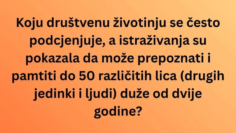 Koliko zna&scaron; o najinteligentnijim životinjama na svijetu? Poku&scaron;aj rasturiti na ovom te&scaron;kom kvizu