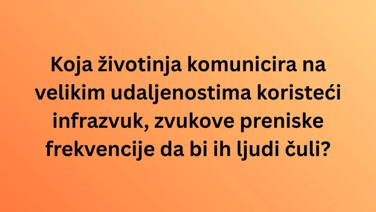 Koliko zna&scaron; o najinteligentnijim životinjama na svijetu? Poku&scaron;aj rasturiti na ovom te&scaron;kom kvizu