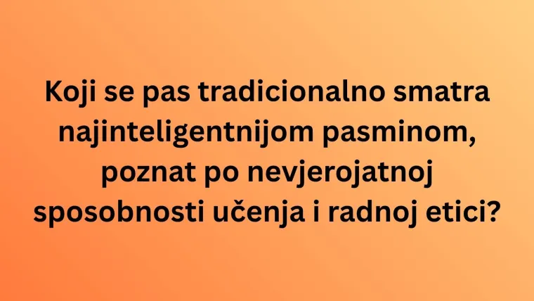 Koliko zna&scaron; o najinteligentnijim životinjama na svijetu? Poku&scaron;aj rasturiti na ovom te&scaron;kom kvizu