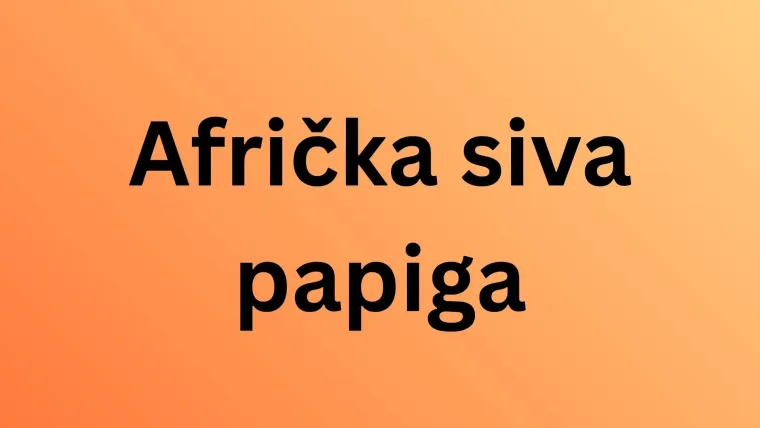 Koliko zna&scaron; o najinteligentnijim životinjama na svijetu? Poku&scaron;aj rasturiti na ovom te&scaron;kom kvizu