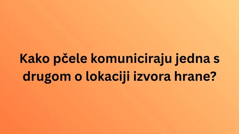 Koliko zna&scaron; o najinteligentnijim životinjama na svijetu? Poku&scaron;aj rasturiti na ovom te&scaron;kom kvizu