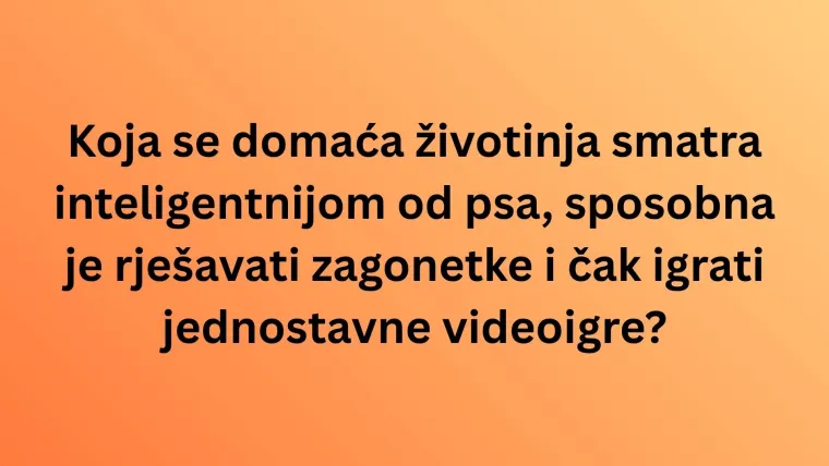 Koliko zna&scaron; o najinteligentnijim životinjama na svijetu? Poku&scaron;aj rasturiti na ovom te&scaron;kom kvizu