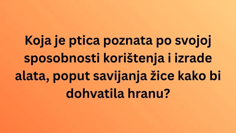 Koliko zna&scaron; o najinteligentnijim životinjama na svijetu? Poku&scaron;aj rasturiti na ovom te&scaron;kom kvizu