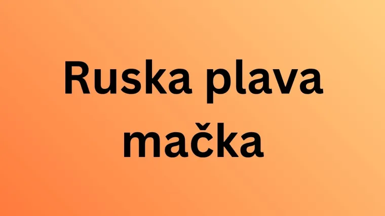 Koliko pasmina mačaka možete prepoznati po fotografiji? Dokaži da si njihov veliki obožavatelj