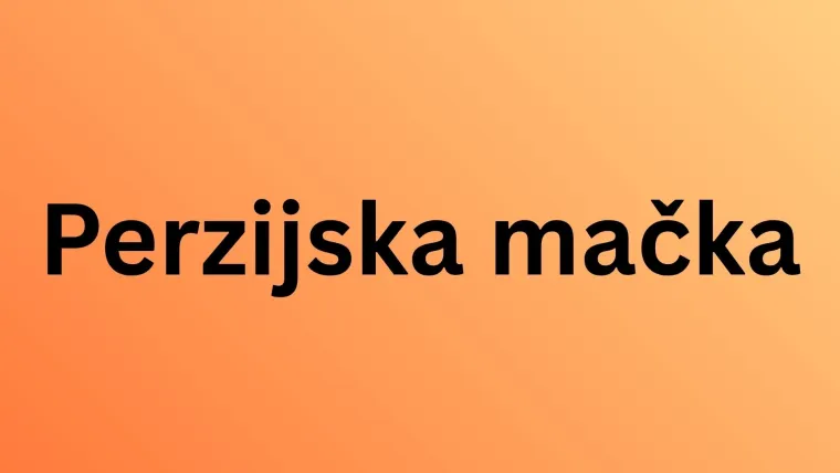 Koliko pasmina mačaka možete prepoznati po fotografiji? Dokaži da si njihov veliki obožavatelj