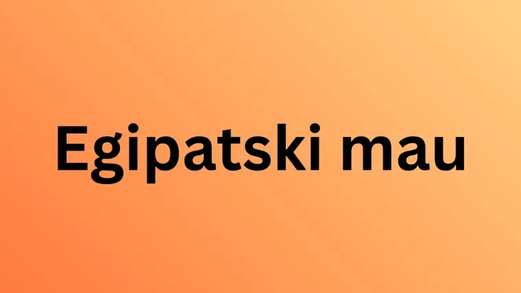 Koliko pasmina mačaka možete prepoznati po fotografiji? Dokaži da si njihov veliki obožavatelj