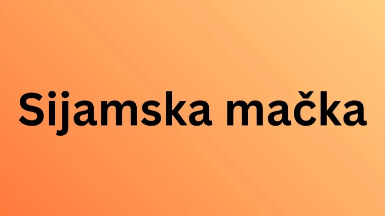 Koliko pasmina mačaka možete prepoznati po fotografiji? Dokaži da si njihov veliki obožavatelj