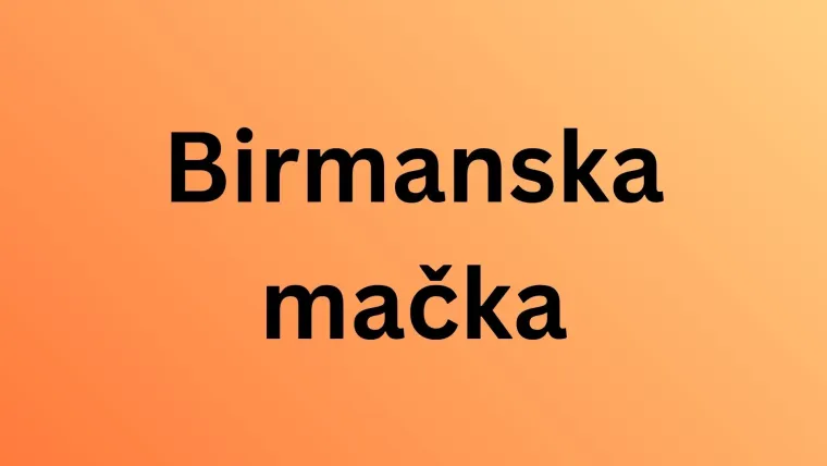 Koliko pasmina mačaka možete prepoznati po fotografiji? Dokaži da si njihov veliki obožavatelj