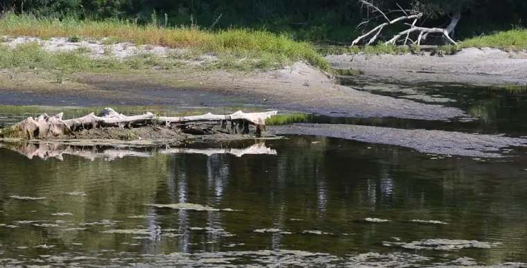 Nevjerojatni prizori na Dravi: 'Cijeli život sam tu, ali tako niska voda nikad nije bila!'