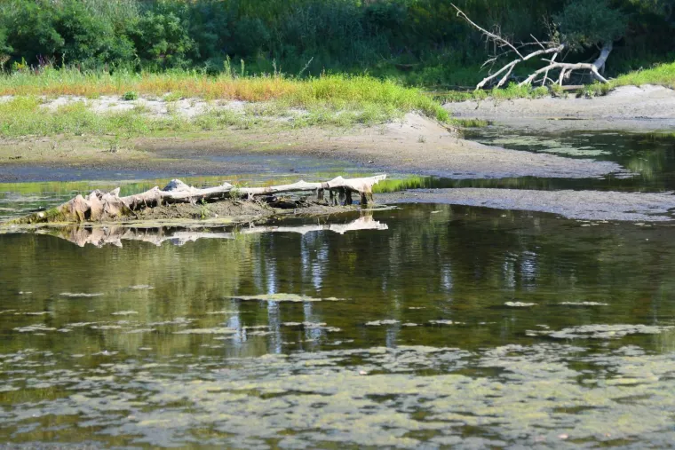 Nevjerojatni prizori na Dravi: 'Cijeli život sam tu, ali tako niska voda nikad nije bila!'