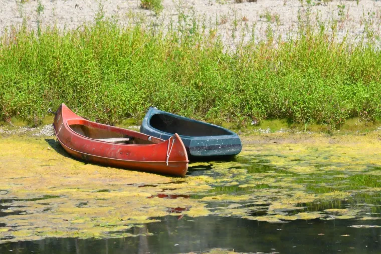 Nevjerojatni prizori na Dravi: 'Cijeli život sam tu, ali tako niska voda nikad nije bila!'