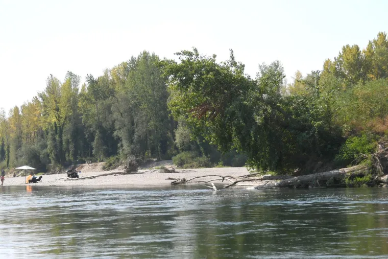 Nevjerojatni prizori na Dravi: 'Cijeli život sam tu, ali tako niska voda nikad nije bila!'