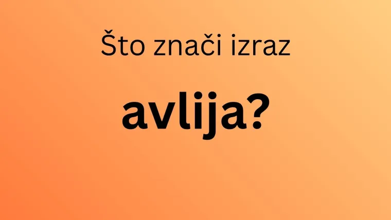 Može&scaron; li rasturiti na kvizu i dokazati da ne treba&scaron; biti Slavonac kako bi razumio ove izraze?