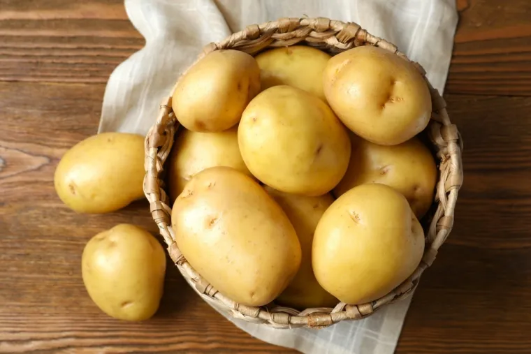 Znate li da ove namirnice psi ne smiju jesti? Mogu biti kobne za va&scaron;eg ljubimca