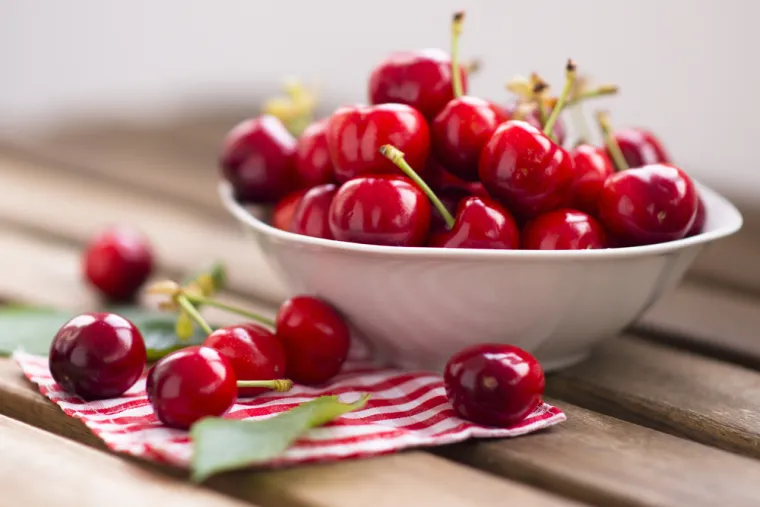 Znate li da ove namirnice psi ne smiju jesti? Mogu biti kobne za va&scaron;eg ljubimca