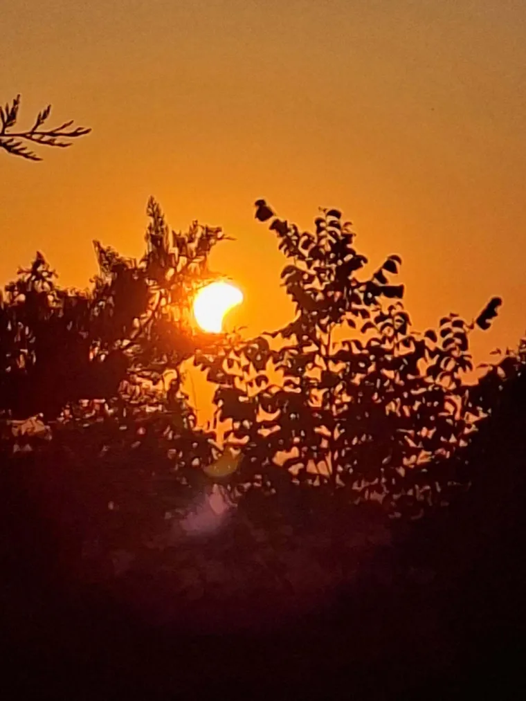 Pomrčina Sunca je izgledala spektakularno: Ovo su va&scaron;e fotografije koje ste nam slali iz cijele Hrvatske