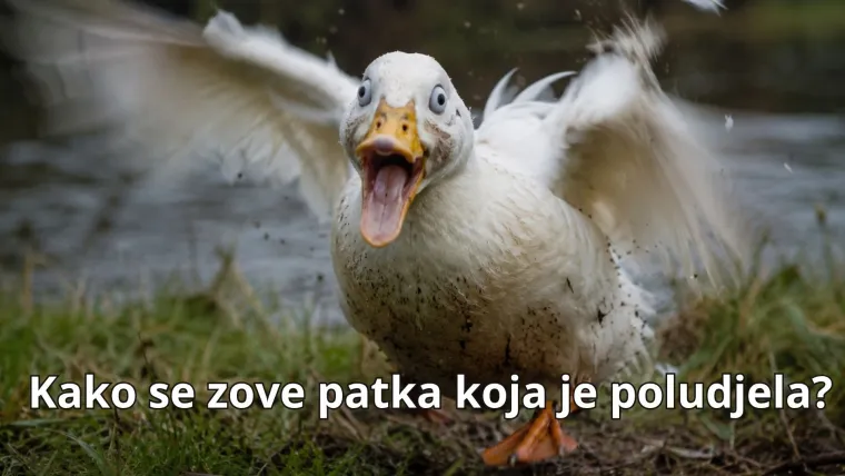 Dad jokes: Obožavate li i vi ove viceve? Izvukli smo 20 genijalnih da vas do suza nasmijemo
