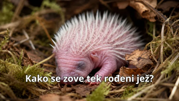 Dad jokes: Obožavate li i vi ove viceve? Izvukli smo 20 genijalnih da vas do suza nasmijemo