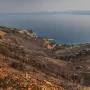 Ovako danas izgledaju Omiš i okolica: Umorni vatrogasci, pougljeni automobili i prizori tuge