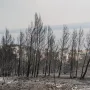 Ovako danas izgledaju Omiš i okolica: Umorni vatrogasci, pougljeni automobili i prizori tuge