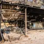Prizori nakon noći kakvu Hrvatska ne pamti: Pogledajte što je ostalo iza vatrene stihije kod Omiša