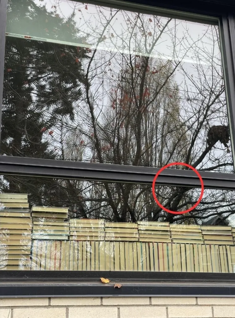 Jeste li detektivi? Ako uspijete pronaći skrivene detalje na ovim fotkama, imate oči sokolove