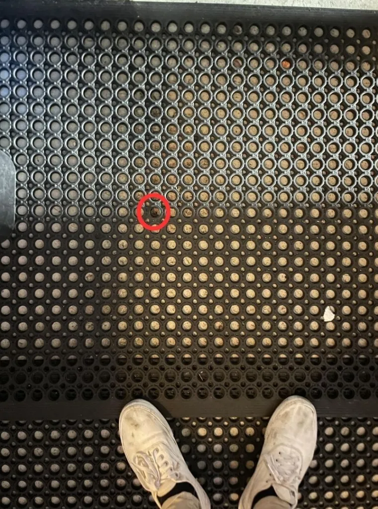 Jeste li detektivi? Ako uspijete pronaći skrivene detalje na ovim fotkama, imate oči sokolove