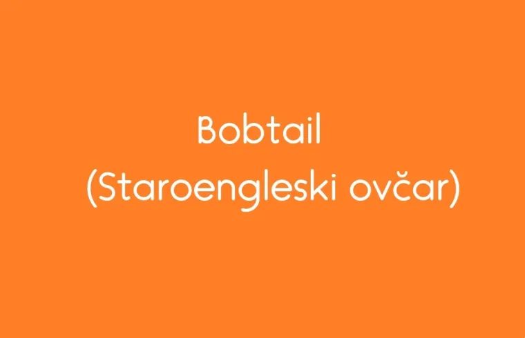 Dobro poznajete pasmine, kažete? Pa da vas vidimo na ovom kvizu, jeste li doista stručni