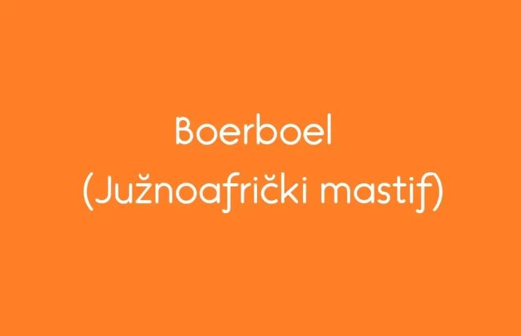 Dobro poznajete pasmine, kažete? Pa da vas vidimo na ovom kvizu, jeste li doista stručni