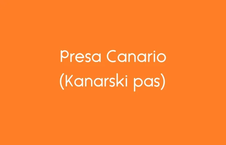 Dobro poznajete pasmine, kažete? Pa da vas vidimo na ovom kvizu, jeste li doista stručni