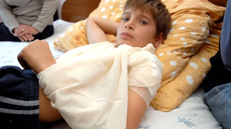 Labrador izgrizao dječaka