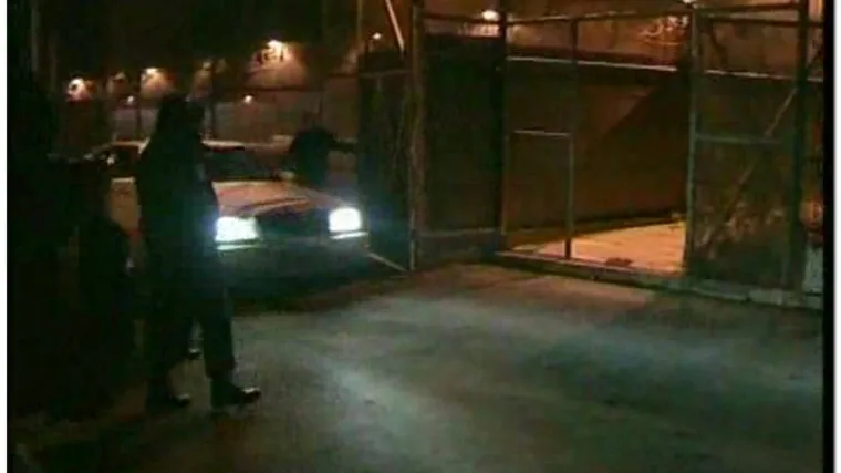 Pu&scaron;teni njemački &scaron;pijuni