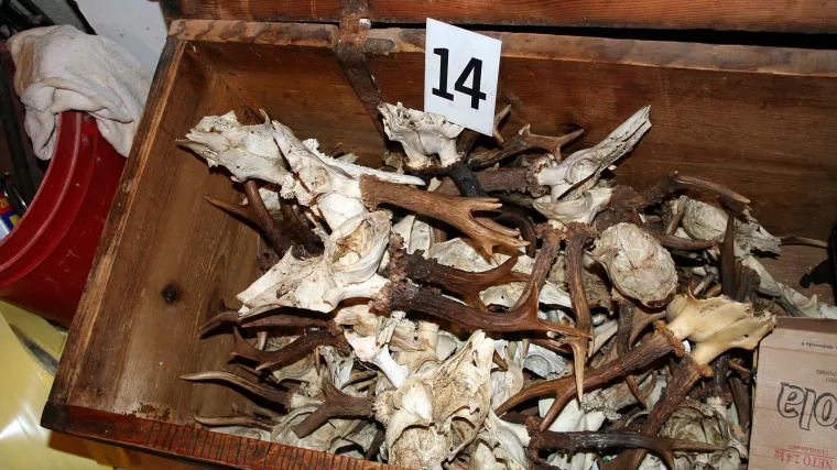 Zlostavljač u zamrzivaču skrivao poklanu divljač