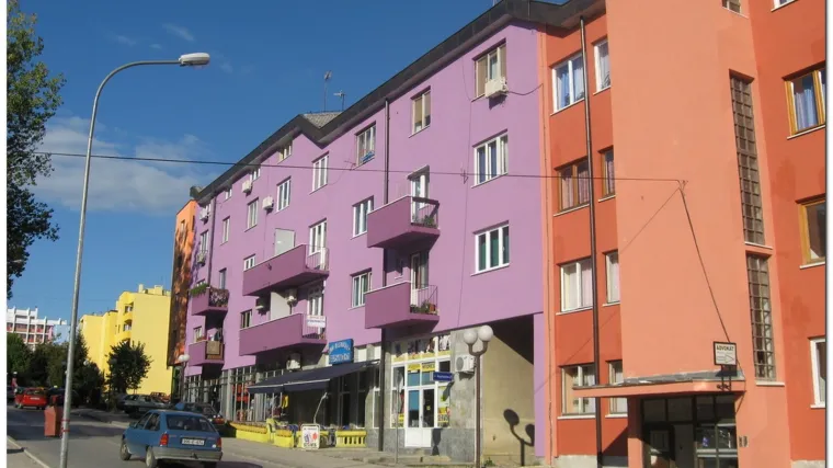 Elvis Hadžić pu&scaron;ten iz pritvora