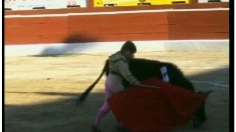 11-godi&scaron;njak ubio &scaron;est junaca u koridi