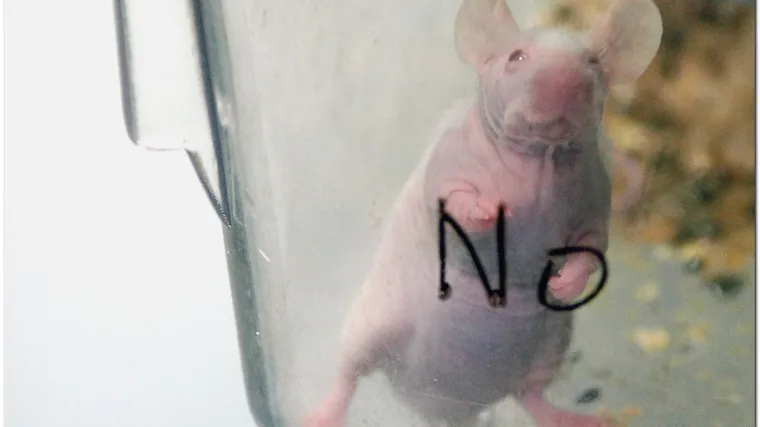 Hrvat otkrio "krivca" za rak debelog crijeva