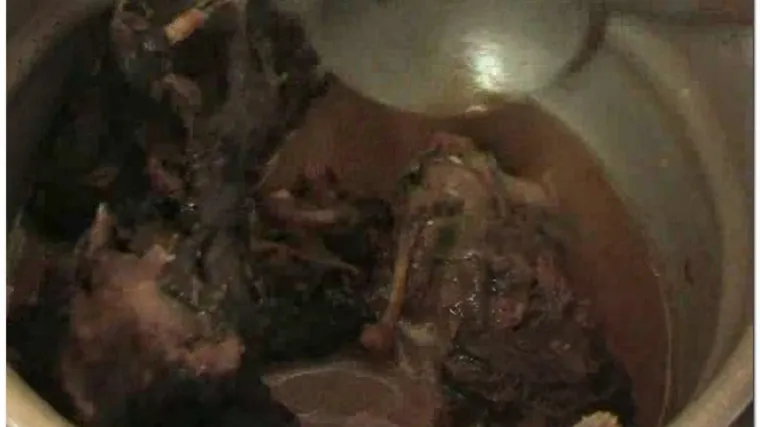 &Scaron;i&scaron;mi&scaron;i - poslastica u Obali Bjelokosti