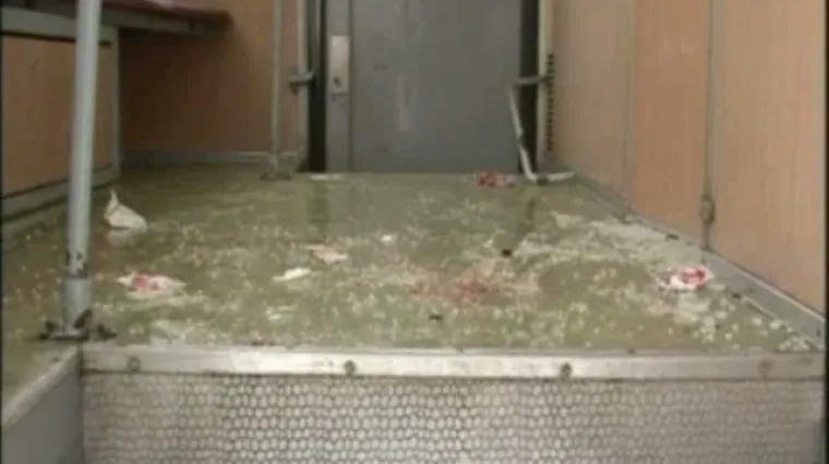 Če&scaron;ka: 43 osobe ozlijeđene u sudaru vlakova