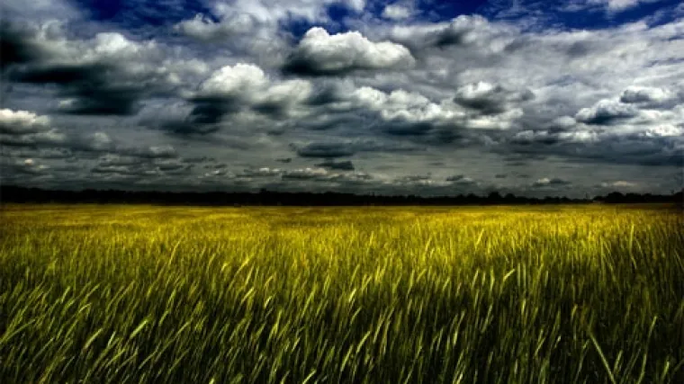 Načelniku općine pola godine zatvora