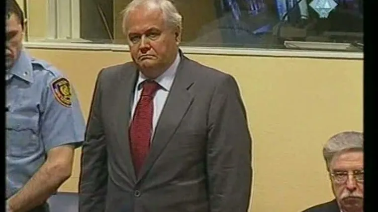 Milutinović "nije progonio i ubijao Albance"