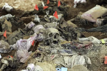 Uhitili Arkana zbog genocida u Srebrenici