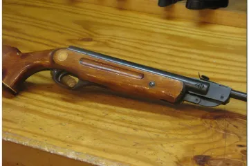 Dječak zračnicom gađao autobus