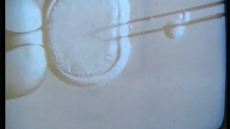 Obama daje novac za istraživanje matičnih stanica