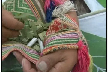 Peruanci traže legalizaciju koke