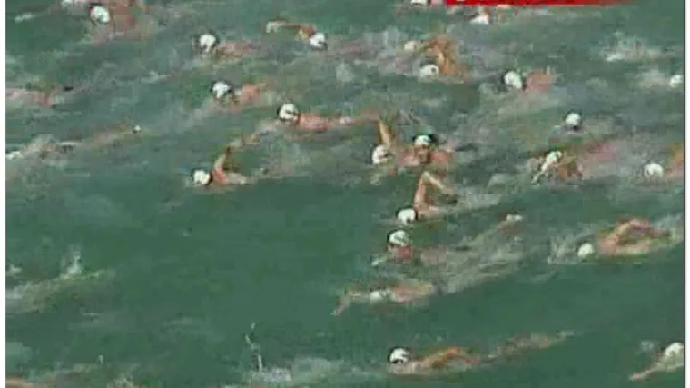 Morski psi upali na plivačku utrku