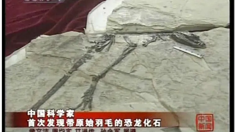 Kinezi otkrili dlakavog dinosaura